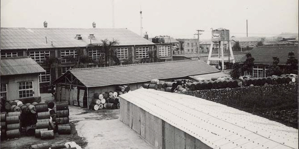 回首来途 (1964-1989)