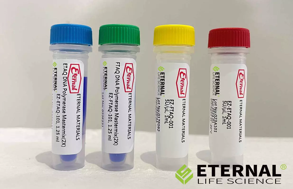 Biomaterials-enzymes used in molecular diagnosis